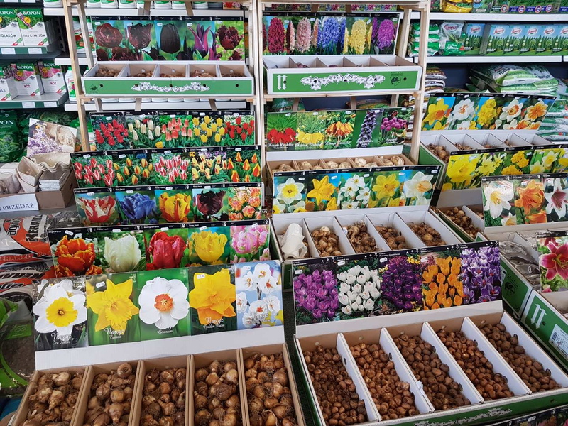 Zdjęcie na okładce dla Centrum Ogrodnicze Pergola - Gdów